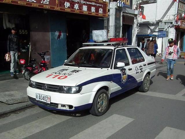 各国警车都有啥:英国太豪,美国用它,中国竟然用这些车