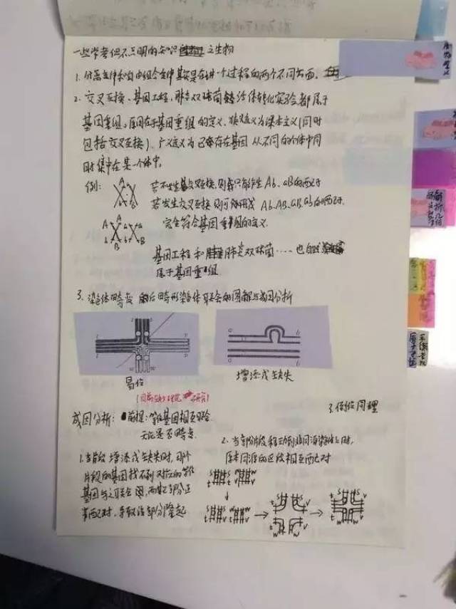 bd9b5c1f8e7340d5909634babb84f639.jpeg