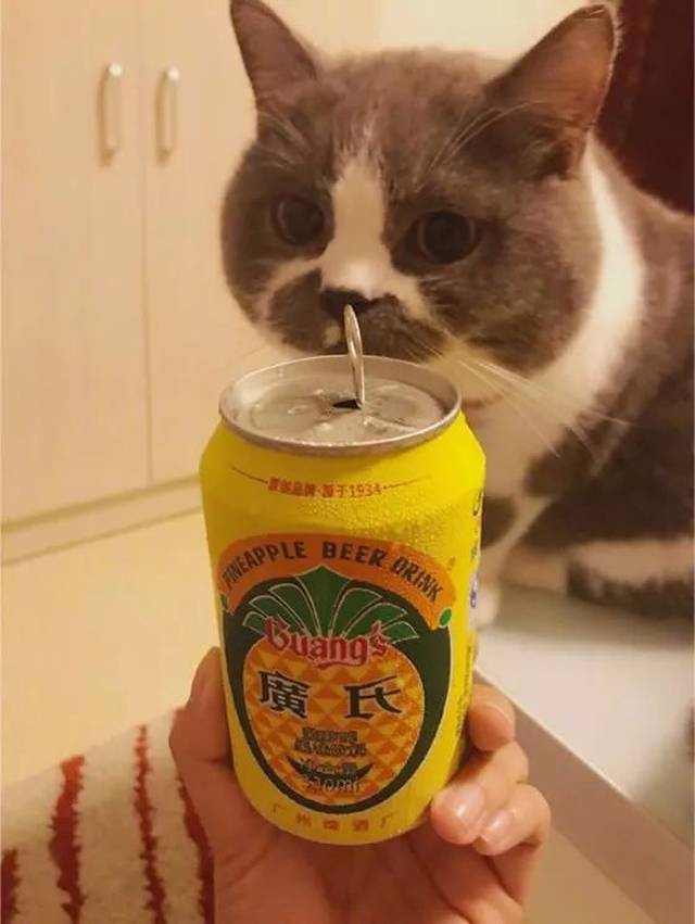 城乡综合部狗蛋:喝菠萝啤吗?