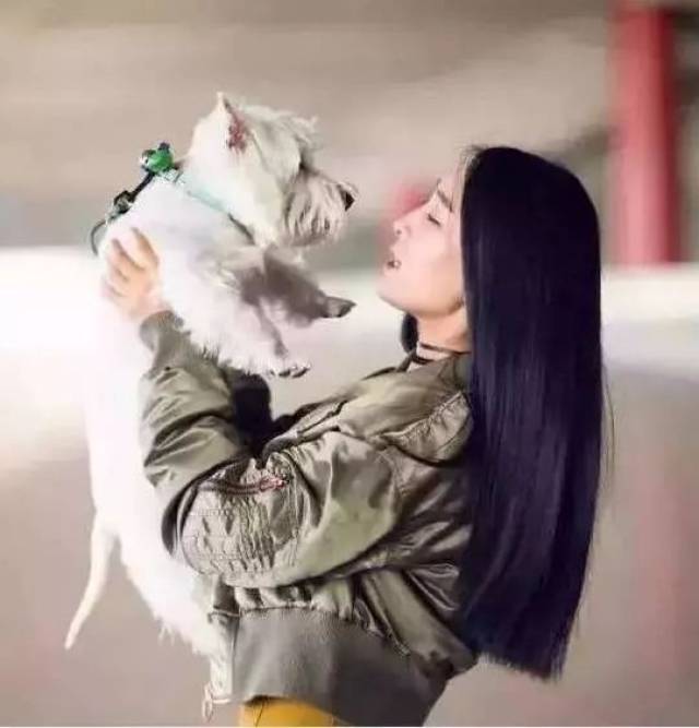 高圆圆、大幂幂带起的机场街拍变味了？现在流行.....