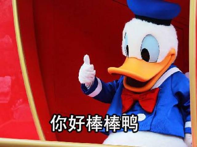 唐老鸭表情包:你好棒棒鸭,今天也要加油鸭