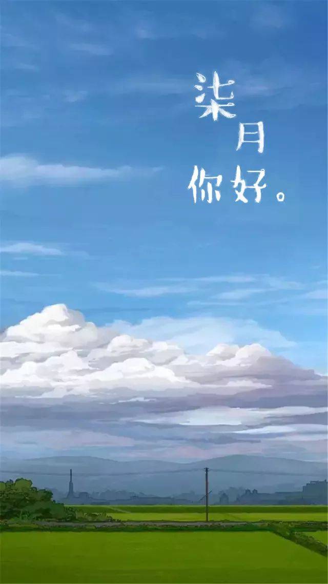 壁纸|你好,七月