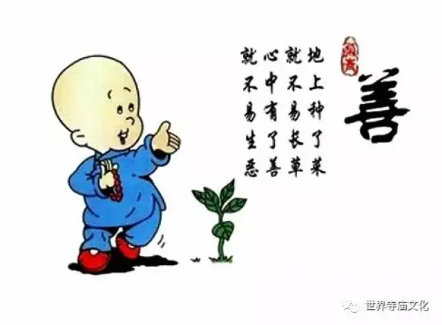 真的,你是吉人,自有天相!