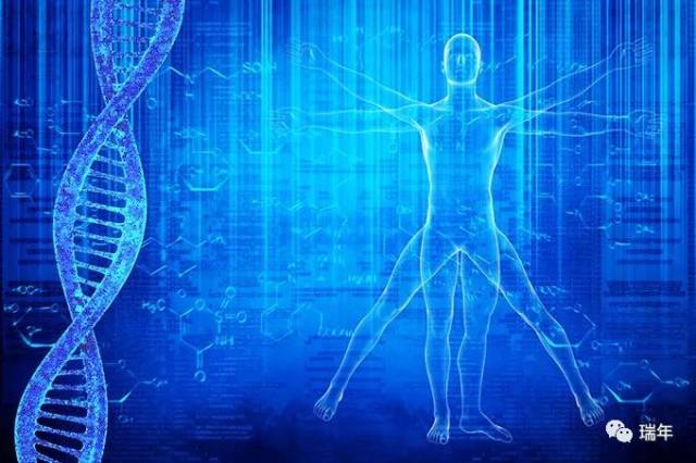 氨基酸是由什么组成 0d3fdb1c5bca4cec84324f7cbfcf1f9b.jpeg