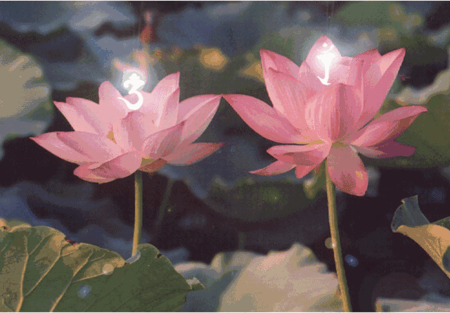 上海小学生无辜被砍，有多少人能够做到“以德报怨”