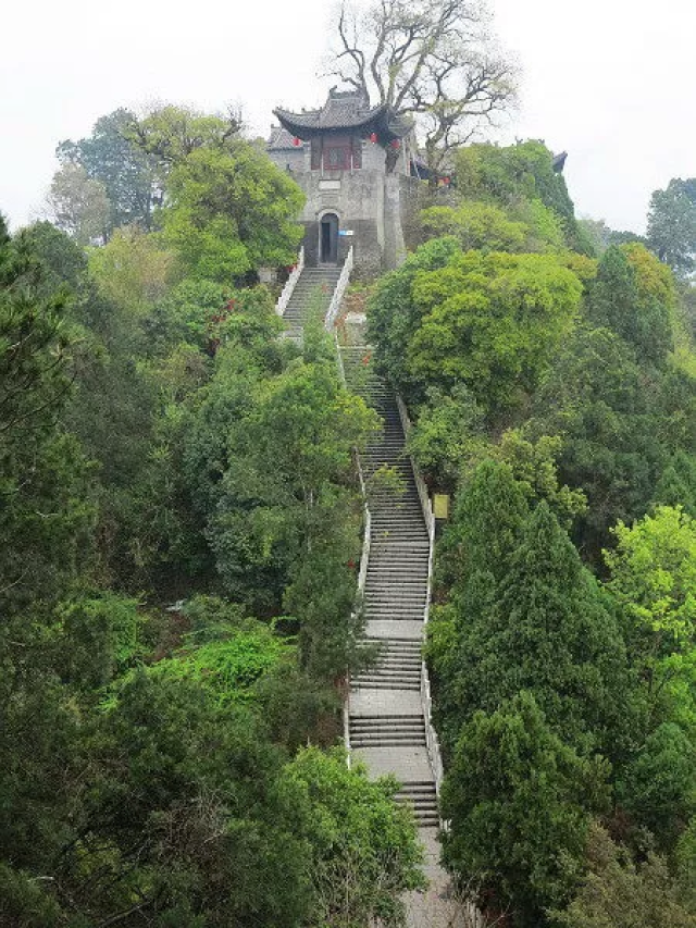 西乡 午子山