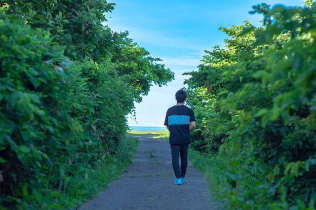 10万日元的相机镜头在摔坏之前拍下了这张珍