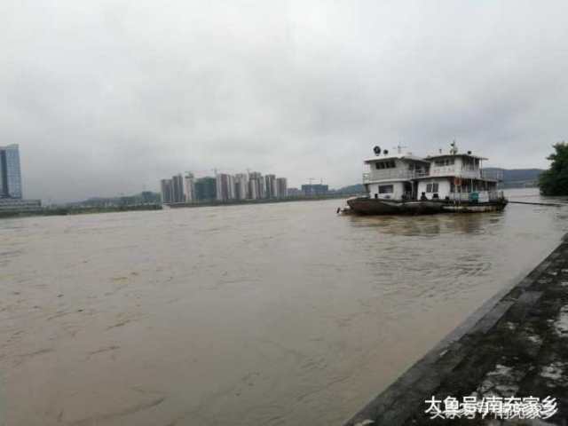 四川南充: 大水通过南充城区嘉陵江, 吸引众多市民围观