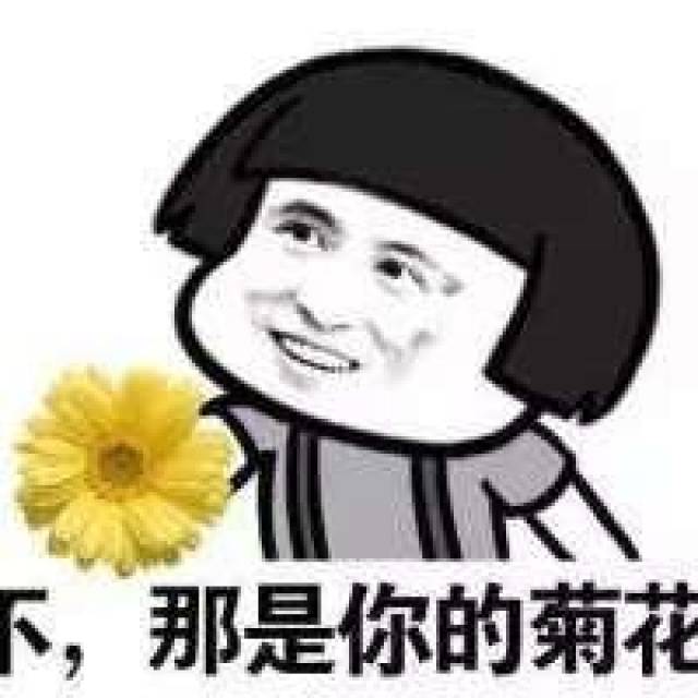 那是你的菊花