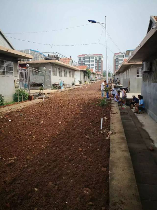 大寺街,荆山路放线 丁格庄村持续进行水沟的浆砌工作 平台声明