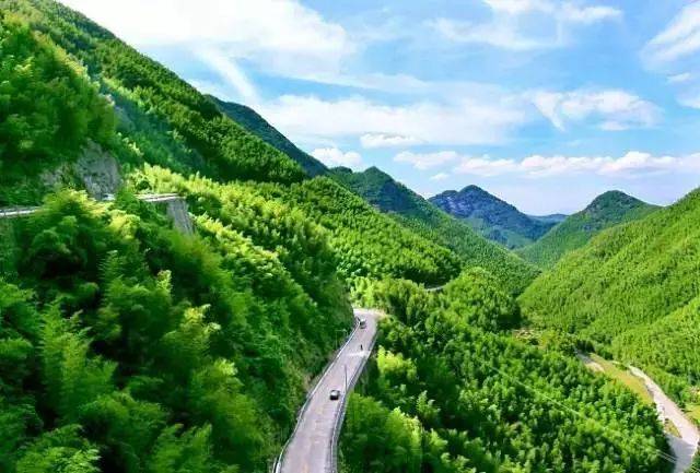 上海周边十大最美自驾公路 刷遍夏日美景