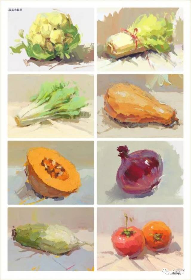 蔬菜类单体范画