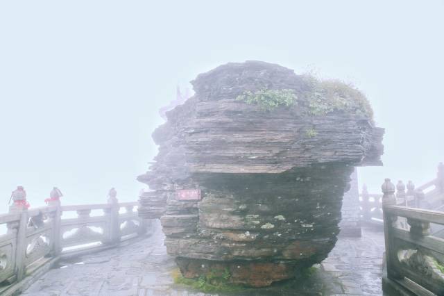 被列入世界自然遗产名录的贵州梵净山,一定不要错过
