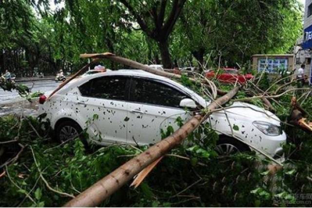 大树砸车,冰雹砸车你找谁哭诉?保险能赔么?