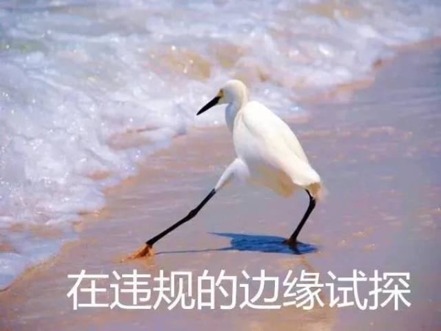 大学考试让带“小抄”是什么操作?学生说:不如闭卷