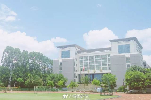 徽因的喵 广西大学行健文理学院 南宁 nanning