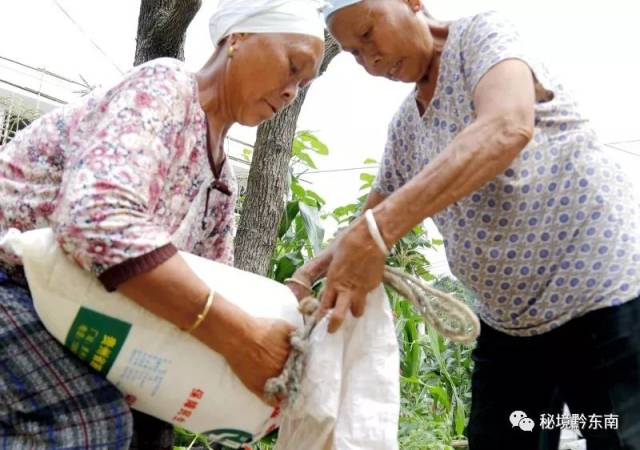 两位苗族妇女在分装大米