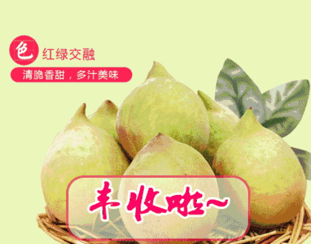 十里桃花,千亩桃园; 三月赏花,七月品果 跟随小编脚步一起品桃去