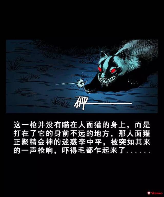 【迷惑人的人面獾】