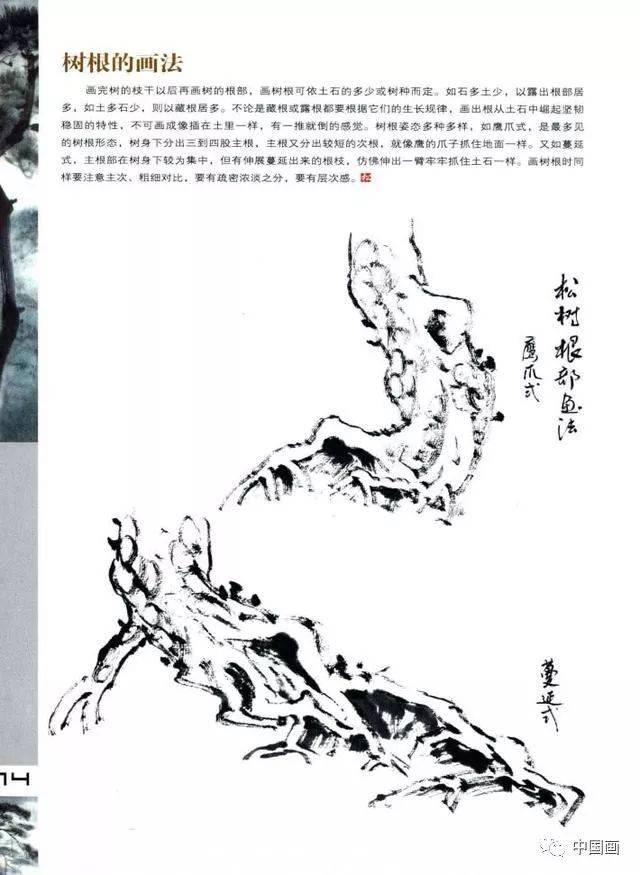 松树的基础画法图解,松树的各种画法,松树的结构及作画步骤详解