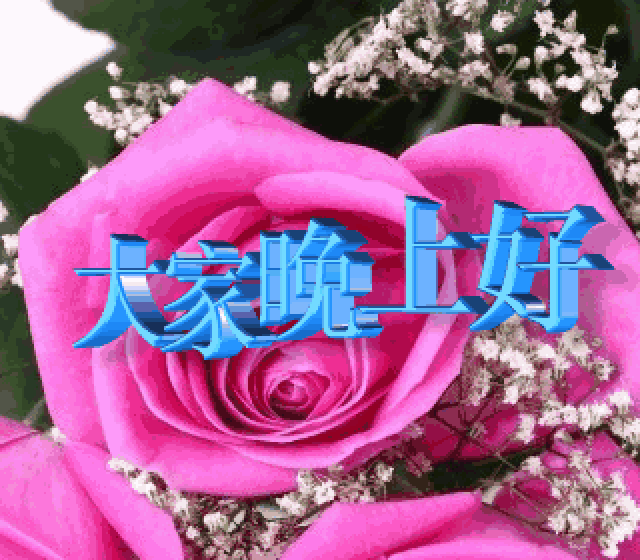 晚上好问侯祝福图片,晚安问候祝福语,送给你,愿你夜夜