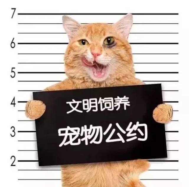 ݳ﹫ԼԸһ