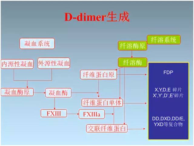 天纵课堂:解码d-二聚体