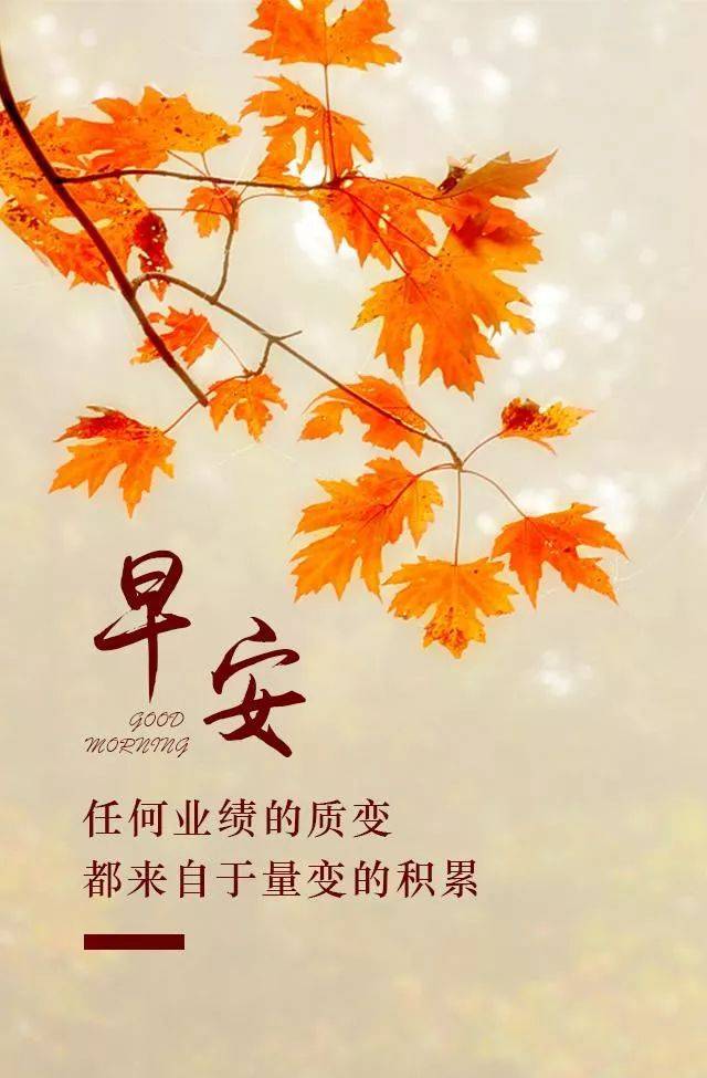 Ȧ簲־ĵľ