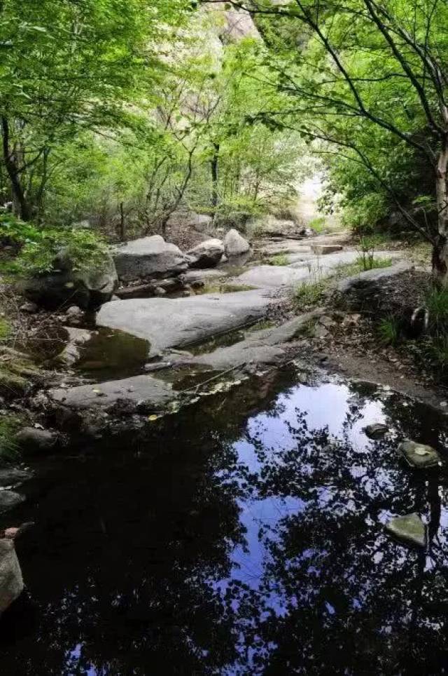 北京周边有一处山清水秀鸟语花香的风景峡谷夏天的好去处