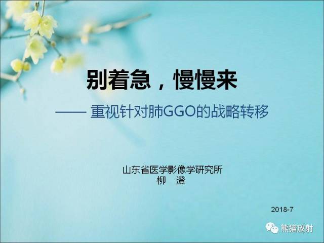 柳澄讲坛丨针对肺ggo的战略丨别着急,慢慢来_手机搜狐网