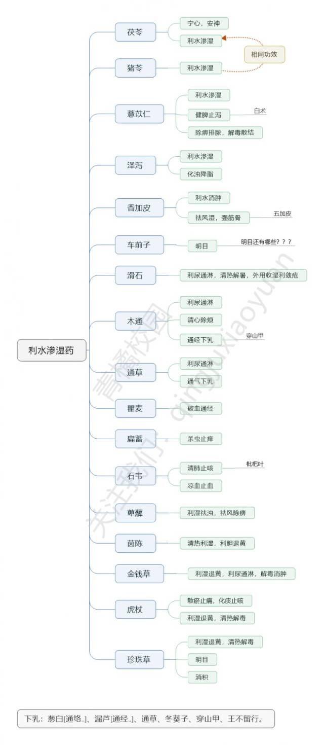 19考研|利水渗湿药思维导图 超速歌诀,超赞!