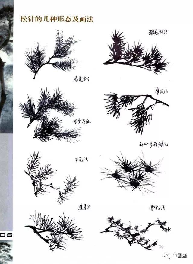 松树的基础画法图解,松树的各种画法,松树的结构及作画步骤详解