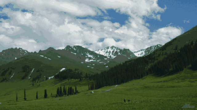 去新疆吧!苏州出发不到400元,一站一景美到窒息