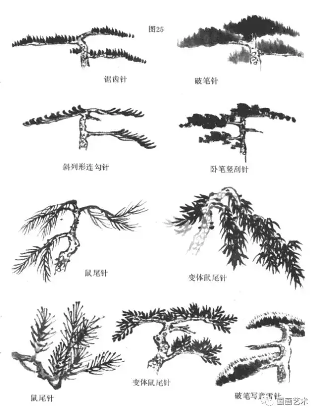 松树的画法详解