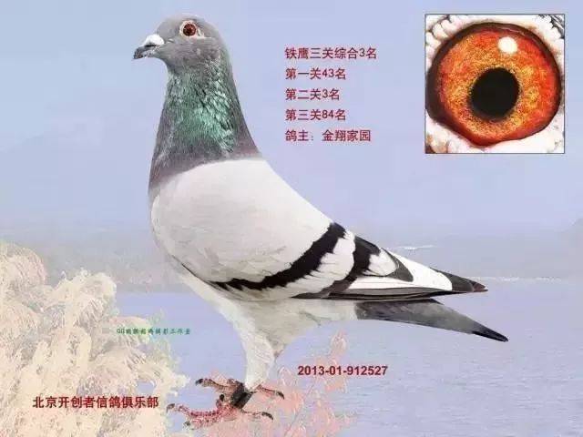 2014年北京开创者铁鹰四关综合冠亚季军