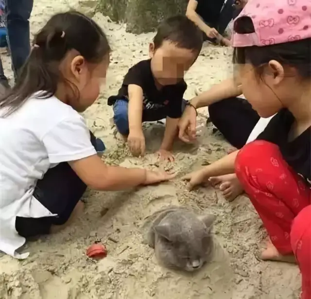 一大批熊孩子要放假了,家长接下来的日子要难熬了.