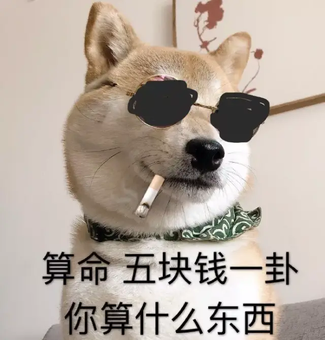 表情包|一只叫做芋圆的魔性柴犬