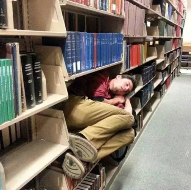 国外学霸最大的乐趣就是在图书馆睡觉?