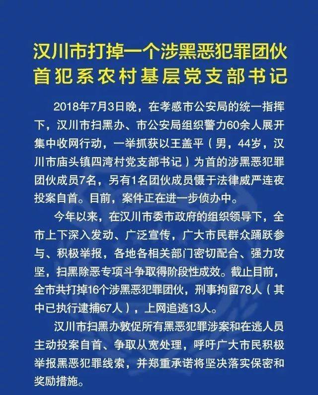 重大战果!汉川市打掉一个涉黑恶犯罪团伙,抓获团伙成员7名!