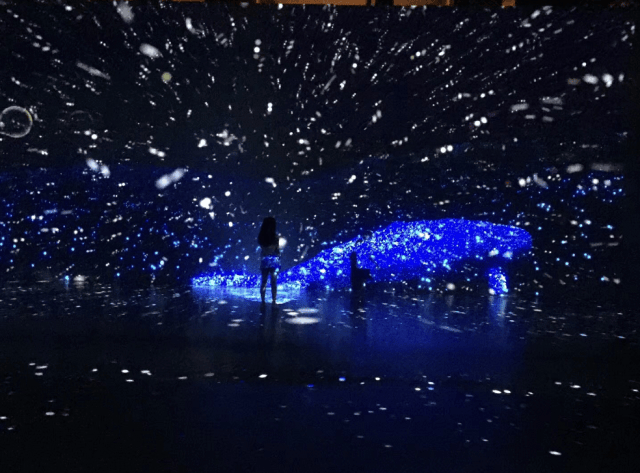 "寻梦海底两万里-深海之光沉浸式艺术展   aquarium by naked)"展览