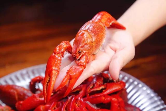 虾虾霸霸九大簋 | 最鲜活的当季小龙虾吃法!