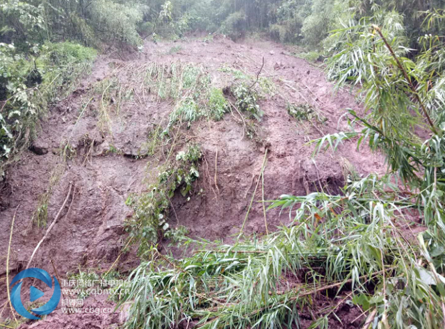 暴雨致重庆合川一公路滑坡 交通中断