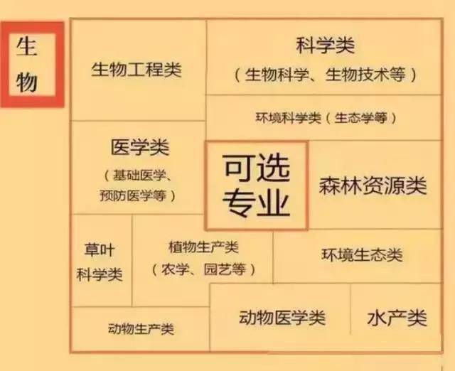 比如:历史,化学,历史组成三角形偏理;地理,物理,政治组成的三角形偏袜高中女生船图片