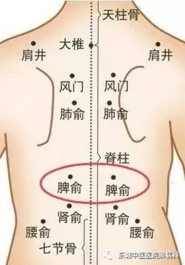 病从脾胃生 补脾一身轻