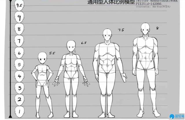 而在学习人体结构时,很容易忘记空间感和立体感,所以我们要将形体简化