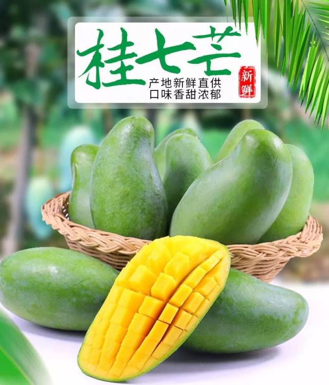 没吃过"桂七"千万别说你吃过好芒果
