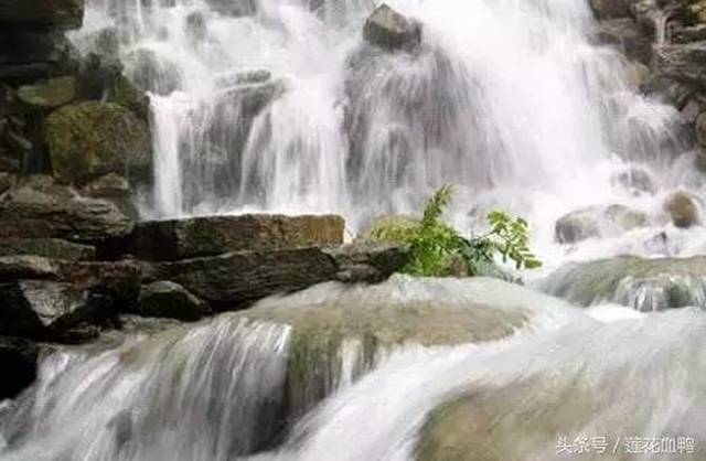 高洲水云山风景区,荷塘白竹瀑布群 河江水库,楼梯蹬水库等 分布于县