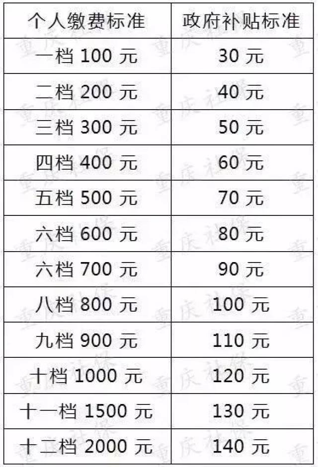 铜梁人口有多少_中山路大时代 这条充满故事的道路,见证城市飞跃