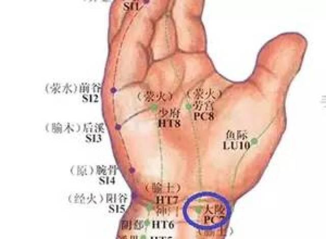 【每日一穴】大陵穴:燥湿生气