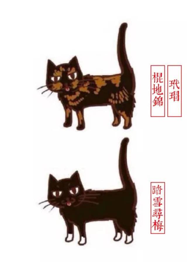 out了,原来花色不同的猫,还有这么多叫法.